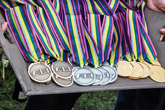 FEI International Driving Events