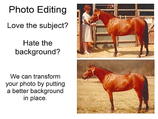 Background Removal and Replacement